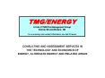 TMGENERGY A Unit of TMGThe Management Group Detroit, MI and Windsor, ON For a summary and contact in PowerPoint PPT Presentation