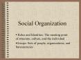 Social Organization PowerPoint PPT Presentation