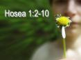 Hosea%201:2-10 PowerPoint PPT Presentation
