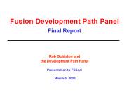 Fusion Development Path Panel Final Report
