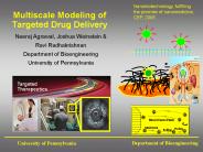 Multiscale Modeling of Targeted Drug Delivery