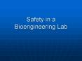 Safety in a Bioengineering Lab PowerPoint PPT Presentation