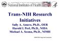 TransNIH Research Initiatives Sally A' Amero, Ph'D', OER Harold I' Perl, Ph'D', NIDA Michael A' Sesm PowerPoint PPT Presentation