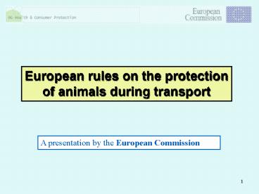 presentation player overlay