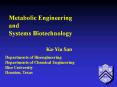Departments of Bioengineering PowerPoint PPT Presentation