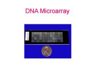 DNA Microarray