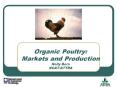 Organic Poultry: Markets and Production Holly Born NCATATTRA PowerPoint PPT Presentation
