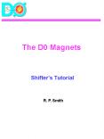 The D0 Magnets PowerPoint PPT Presentation