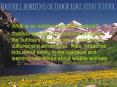 What is an outdoor education school PowerPoint PPT Presentation