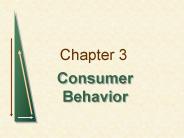 Consumer Behavior