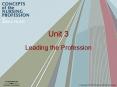 Leading the Profession PowerPoint PPT Presentation