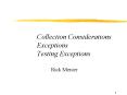Collection Considerations Exceptions Testing Exceptions PowerPoint PPT Presentation