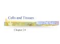 Cells and Tissues PowerPoint PPT Presentation