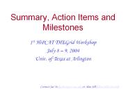 Summary, Action Items and Milestones