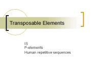 Transposable%20Elements