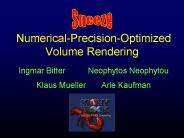 Numerical-Precision-Optimized Volume Rendering