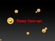 Funny Close-ups