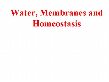 Water, Membranes and Homeostasis