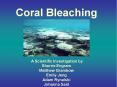Coral Bleaching PowerPoint PPT Presentation