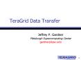TeraGrid Data Transfer PowerPoint PPT Presentation