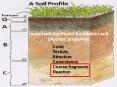 Importantsignificant foundation soil physical properties PowerPoint PPT Presentation