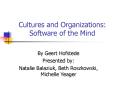 Cultures and Organizations: Software of the Mind PowerPoint PPT Presentation