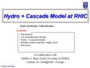 Hydro Cascade Model at RHIC