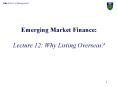 Emerging Market Finance: Lecture 12: Why Listing Overseas? PowerPoint PPT Presentation