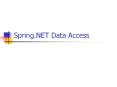 Spring.NET Data Access PowerPoint PPT Presentation