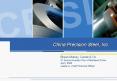 China Precision Steel, Inc. PowerPoint PPT Presentation