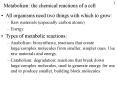Metabolism: the chemical reactions of a cell PowerPoint PPT Presentation