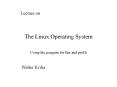 The Linux Operating System PowerPoint PPT Presentation