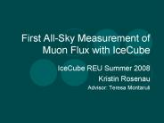 First AllSky Measurement of Muon Flux with IceCube