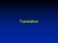 Translation PowerPoint PPT Presentation