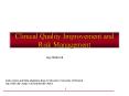 Clinical Quality Improvement and Risk Management PowerPoint PPT Presentation