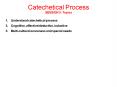 Catechetical Process with Richard Grebenc SESSION 5 PowerPoint PPT Presentation