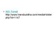 Will Ferrell http:www.transbuddha.commediaHolder.phpid1147 PowerPoint PPT Presentation