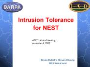 Intrusion Tolerance for NEST