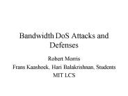 Bandwidth DoS Attacks and Defenses
