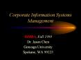 Corporate Information Systems Management PowerPoint PPT Presentation