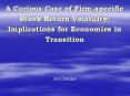 A Curious Case of Firmspecific Stock Return Volatility: Implications for Economies in Transition PowerPoint PPT Presentation