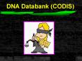 DNA Databank CODIS PowerPoint PPT Presentation