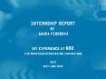 Internship report by Maria Fedorova PowerPoint PPT Presentation