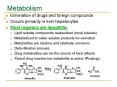 Metabolism PowerPoint PPT Presentation