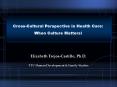 CrossCultural Perspective in Health Care: PowerPoint PPT Presentation