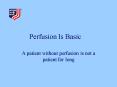 Perfusion Is Basic PowerPoint PPT Presentation