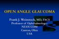 OPEN ANGLE GLAUCOMA Frank J. Weinstock, MD, FACS Professor of Ophthalmology- NEOUCOM Canton, Ohio USA PowerPoint PPT Presentation