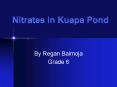 Nitrates in Kuapa Pond PowerPoint PPT Presentation