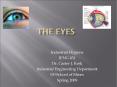 The Eyes PowerPoint PPT Presentation
