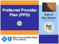 Preferred Provider Plan PPO